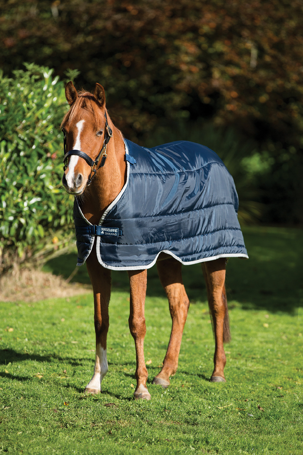 Liner k dekám Horseware Pony, 100 g, navy/navy Délka zad: 90 cm