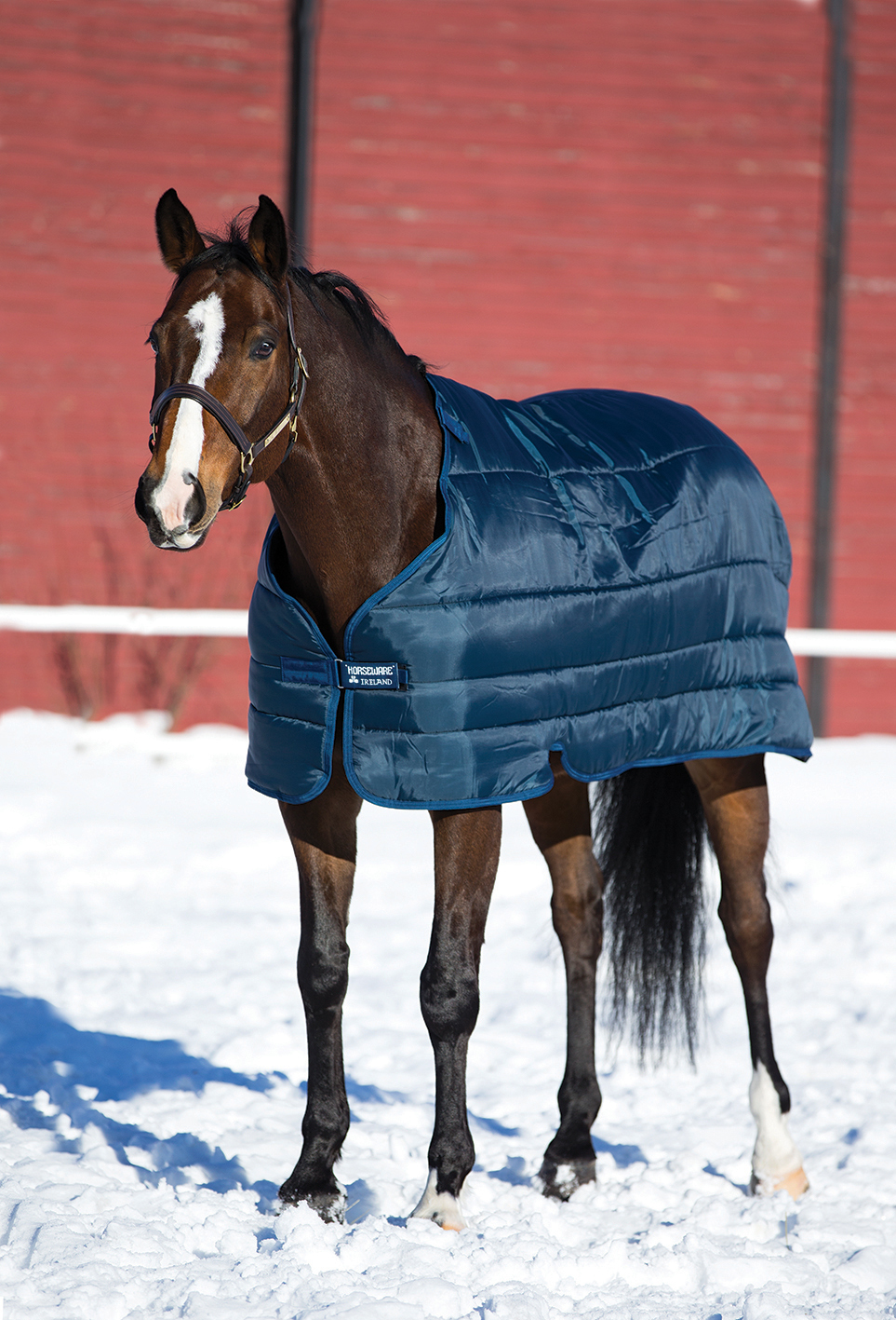 HORSEWARE Liner systém k dekám Pony Horseware, 200 g, navy/navy Délka zad: 80 cm