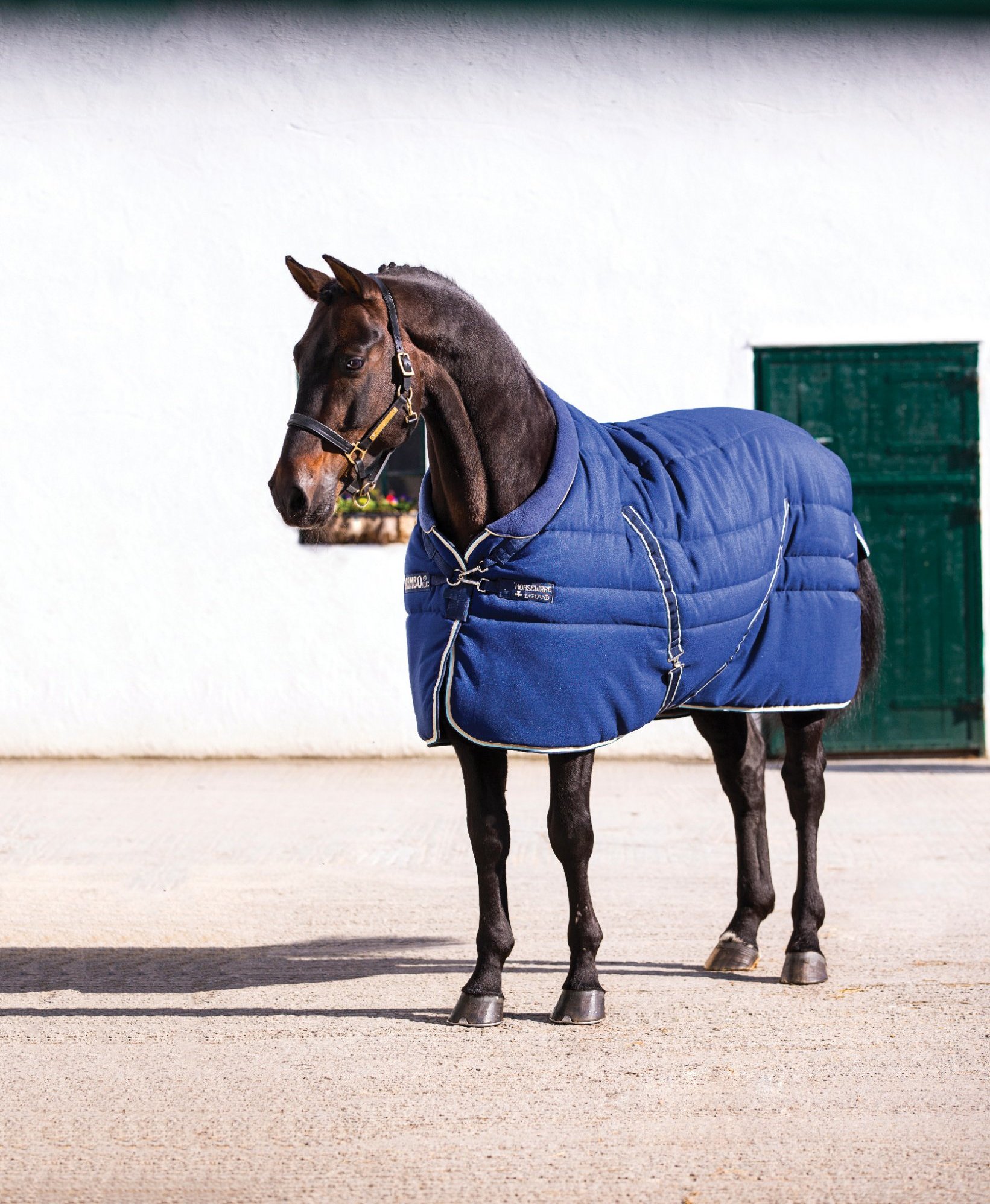 Deka stájová Rambo Cosy, 400 g, navy/beige/baby blue Délka zad: 125 cm