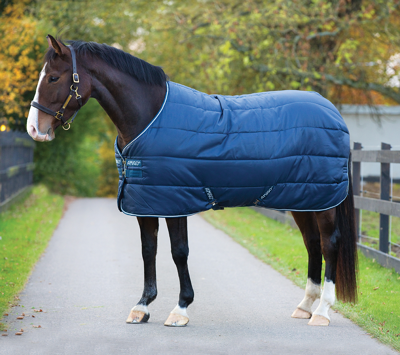 AMIGO Stájová deka Insulator Amigo, 100 g, navy/white Délka zad: 100 cm