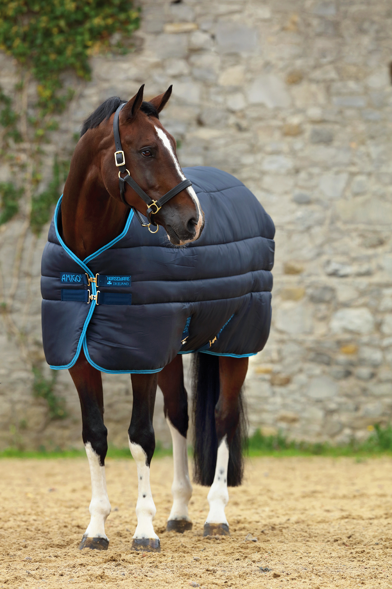 AMIGO Deka stájová Insulator Plus Amigo, 550 g, s krkem, electric blue/navy Délka zad: 145 cm