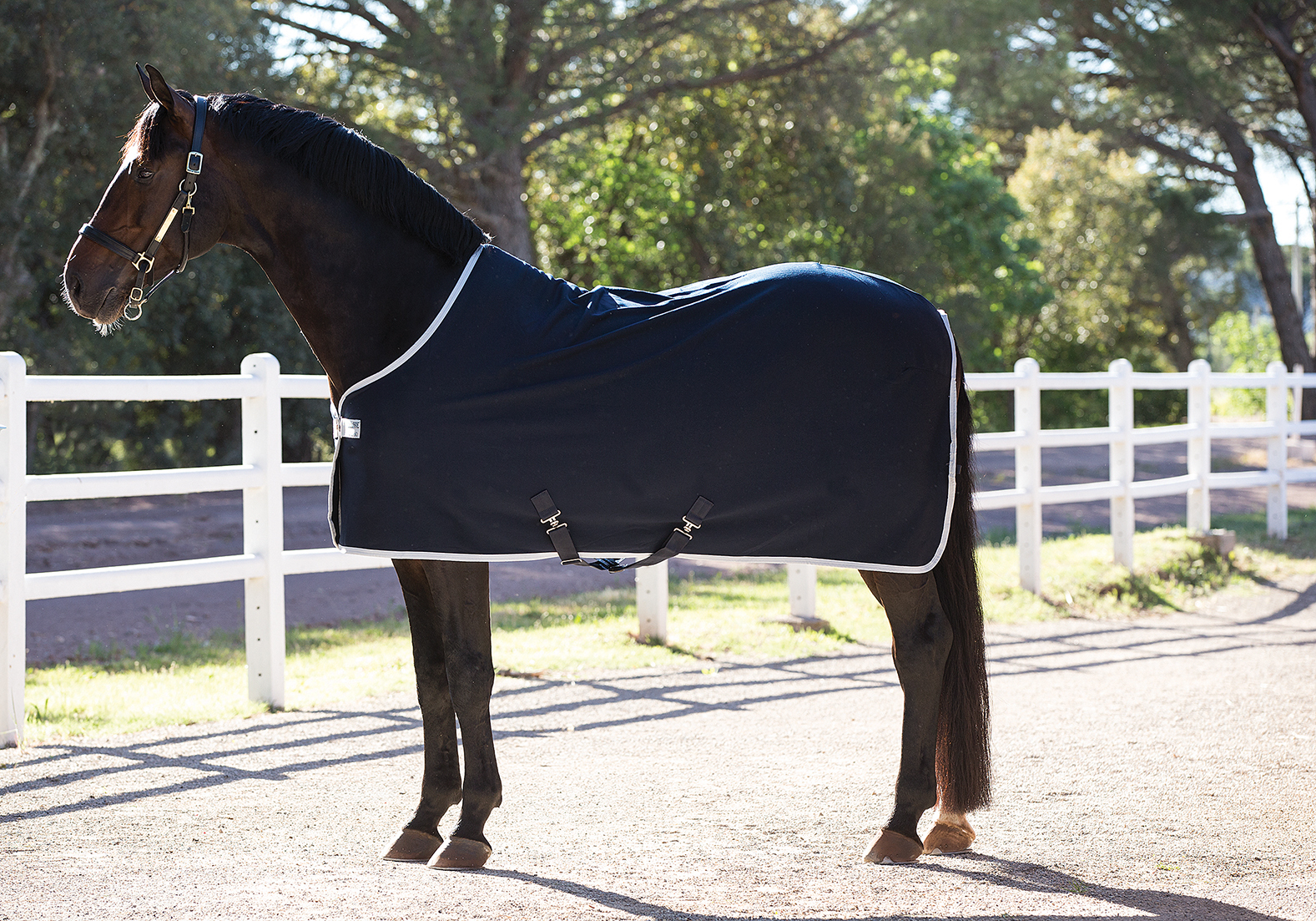 Deka odpocovací Amigo Jersey, navy/silver Délka zad: 155 cm