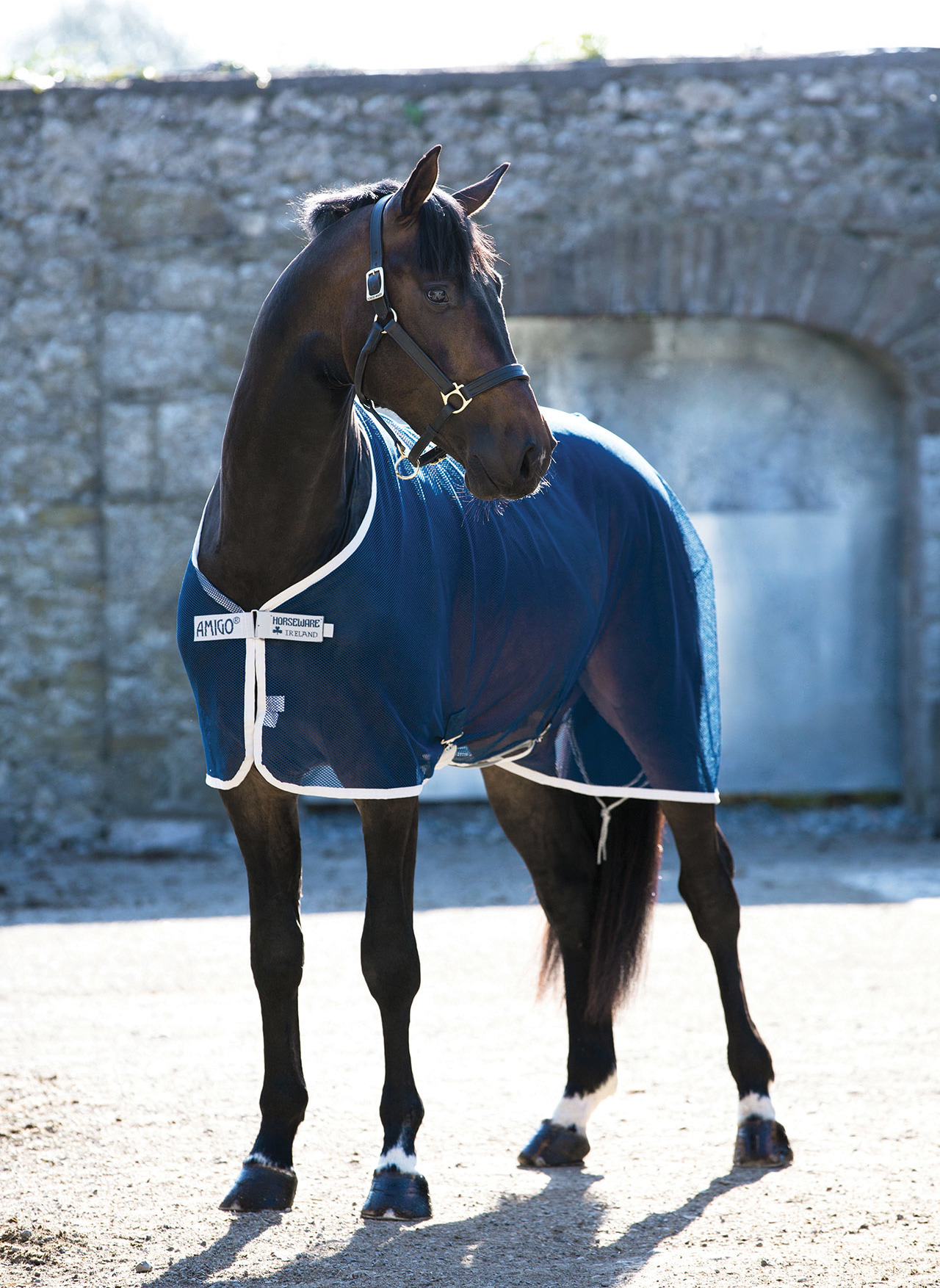 Deka odpocovací Amigo Net Cooler, navy/silver Délka zad: 145 cm