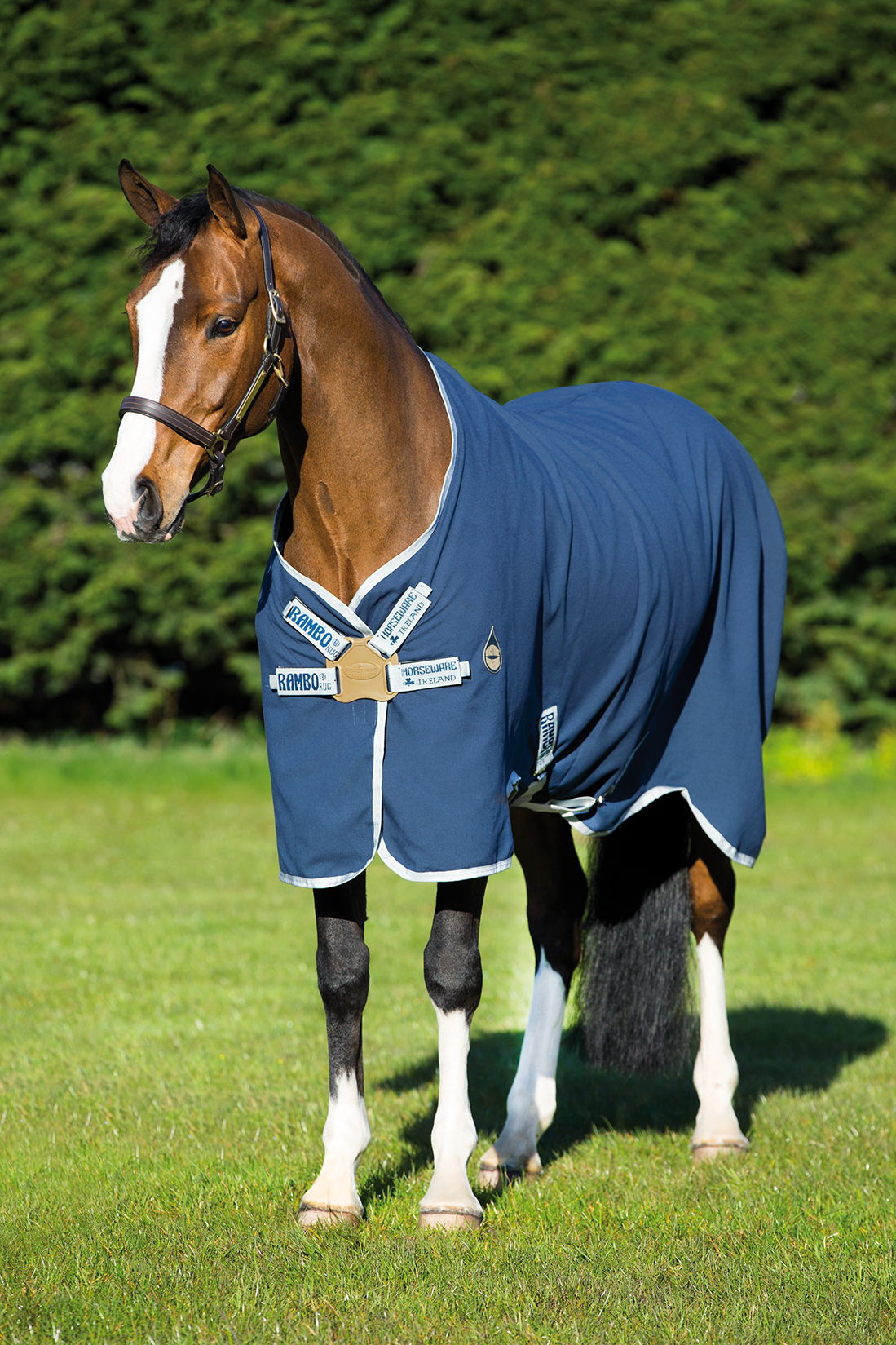 RAMBO Deka stájová Helix Rambo, 0 g, navy/silver Délka zad: 165 cm