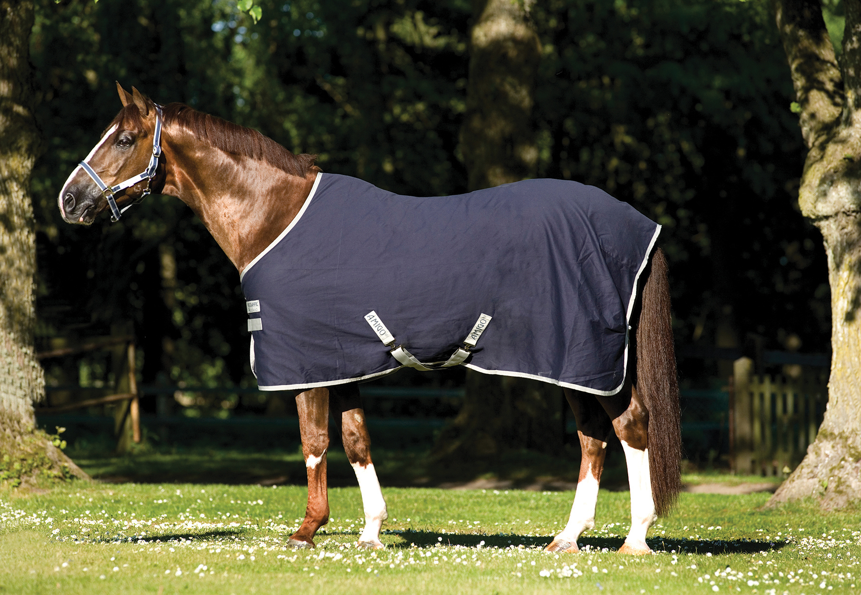 AMIGO Stájová deka X Sur Poly Amigo, 0 g, navy/silver Délka zad: 115 cm