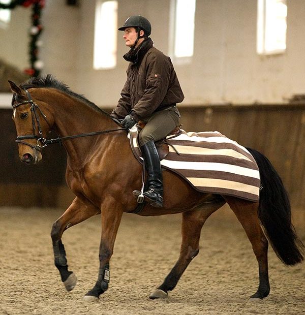 Deka bederní Rambo Fleece Competition Horseware, Whitney Brown Varianta: L