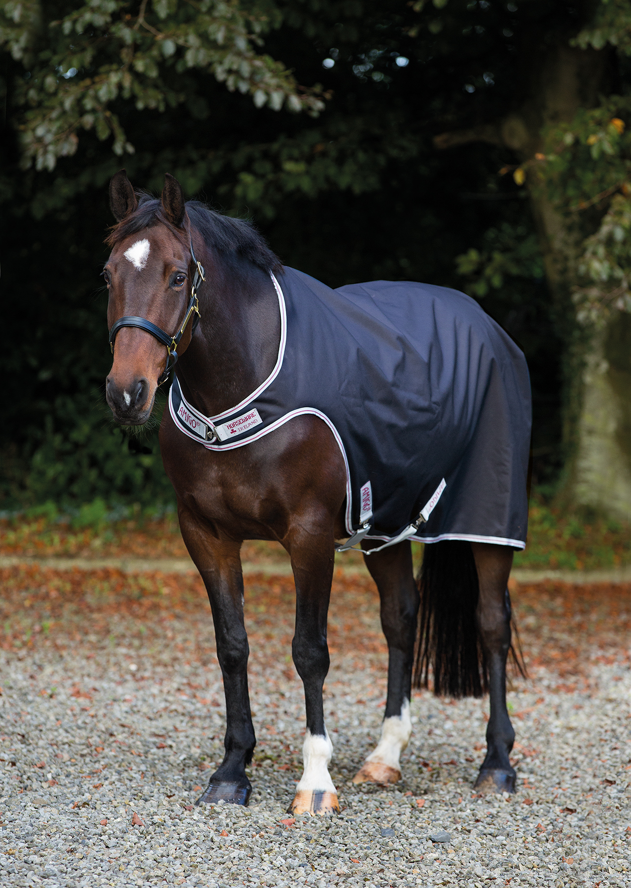 AMIGO Deka Walker Amigo, 100 g, black/silver/red Délka zad: L