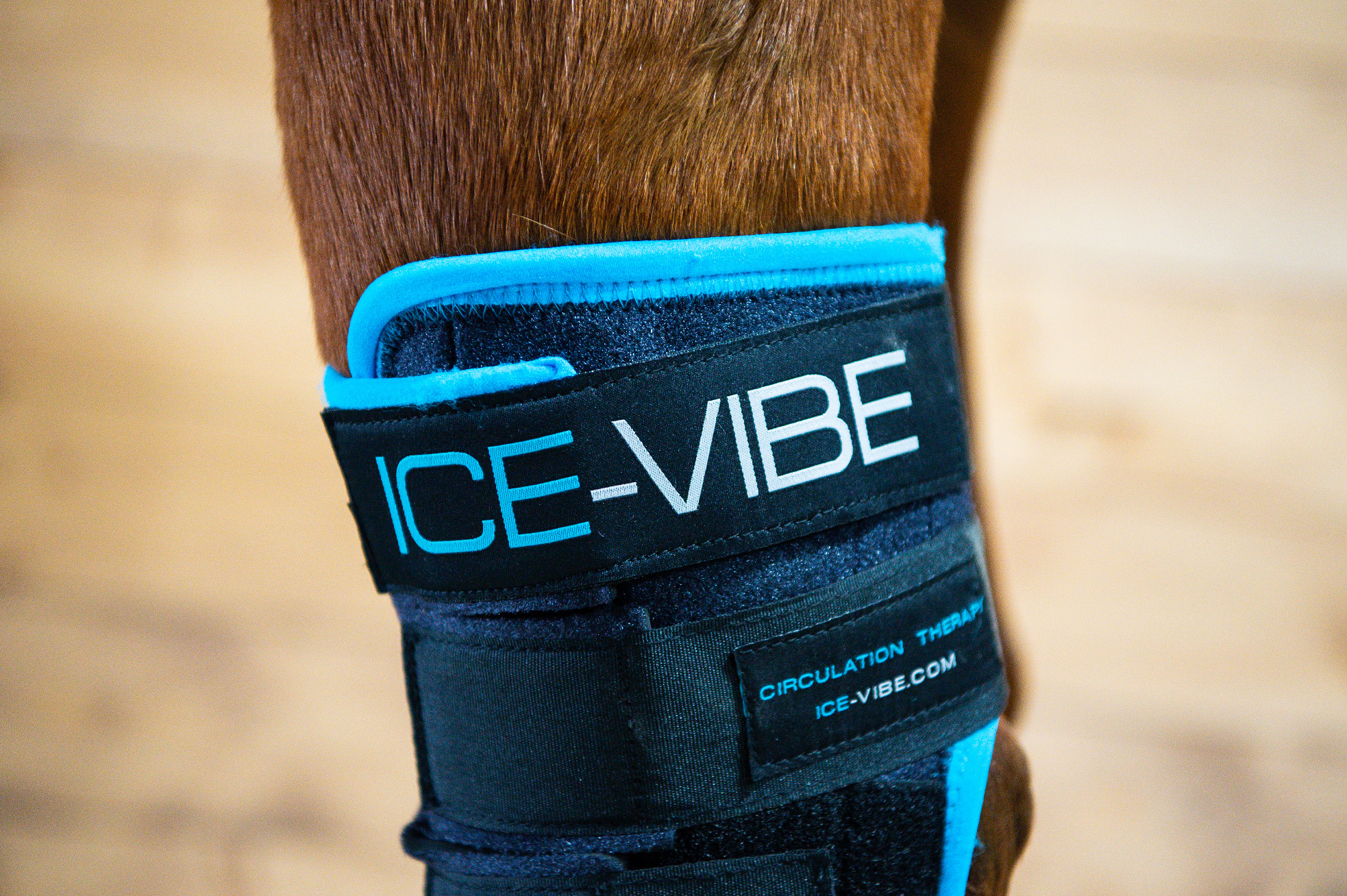 ICEVIBE Chrániče hlezenní ICE-VIBE Horseware, pár, black/aqua