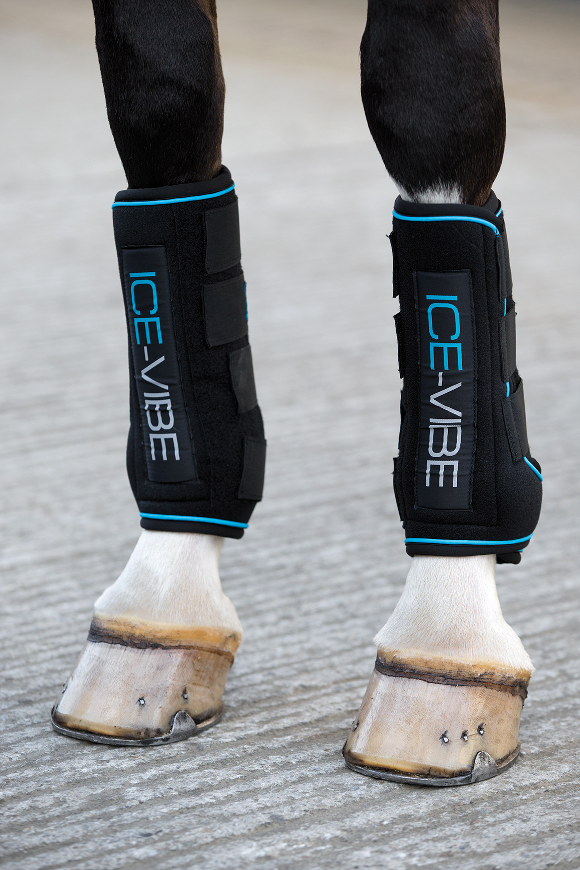ICEVIBE Kamaše ICE-VIBE Horseware, pár, black/aqua Velikost: EXTRA FULL