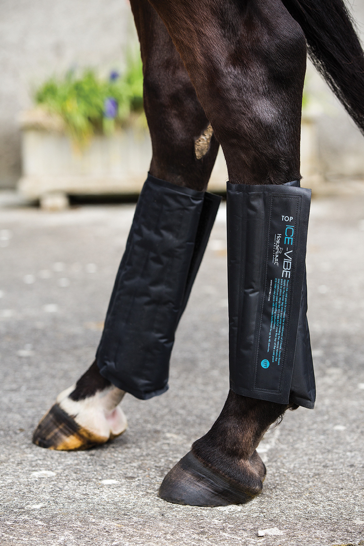 ICEVIBE Chladící vložky (beaded) pro chrániče ICE-VIBE Horseware Velikost: EXTRA FULL
