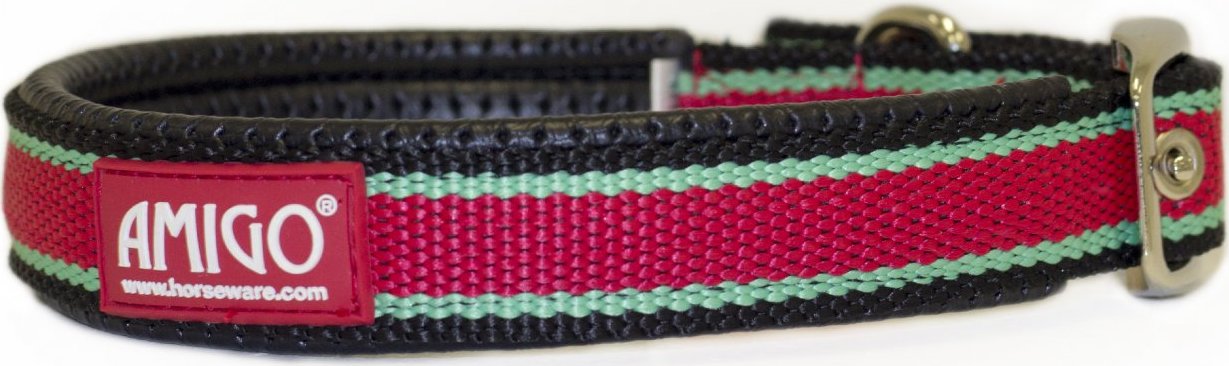 AMIGO Obojek pro psy Amigo, red/white/green/black Velikost: XXS