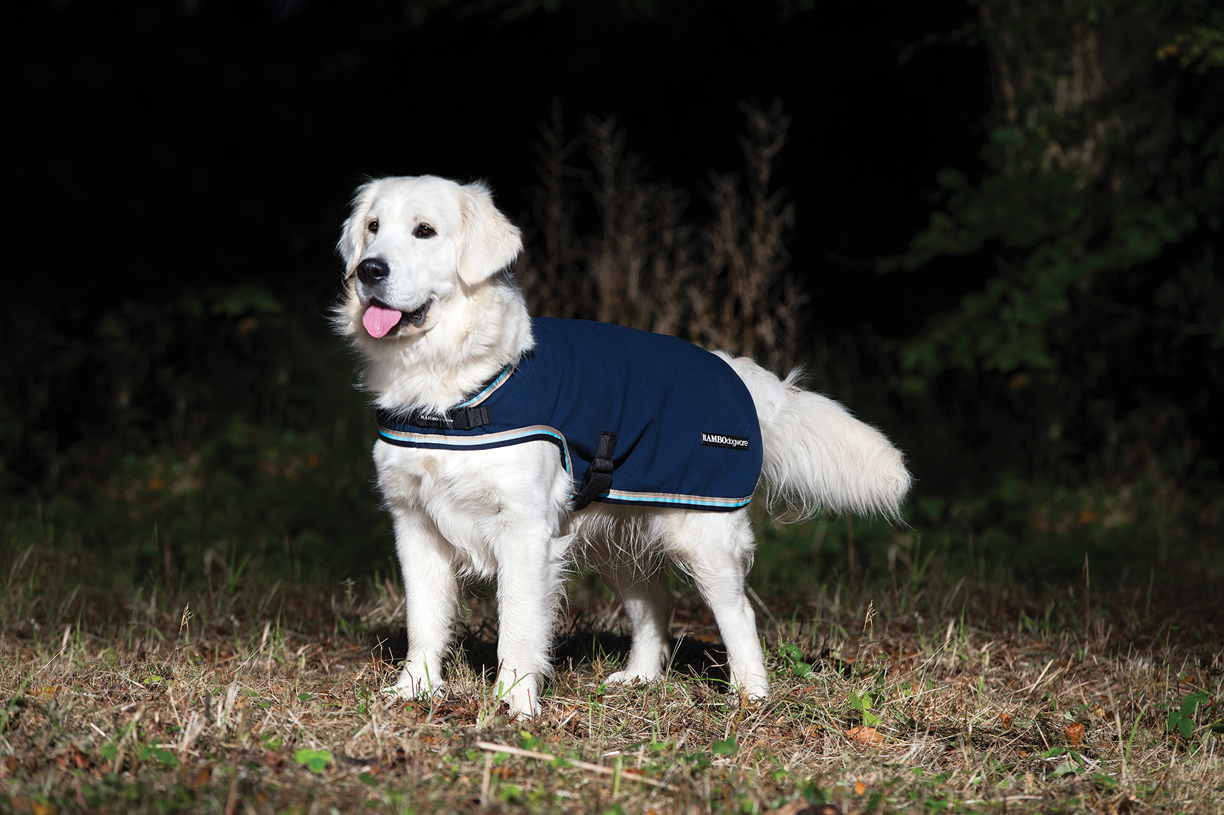 RAMBO Deka pro psy Waterproof Fleece RAMBO, navy/beige/blue Velikost: M