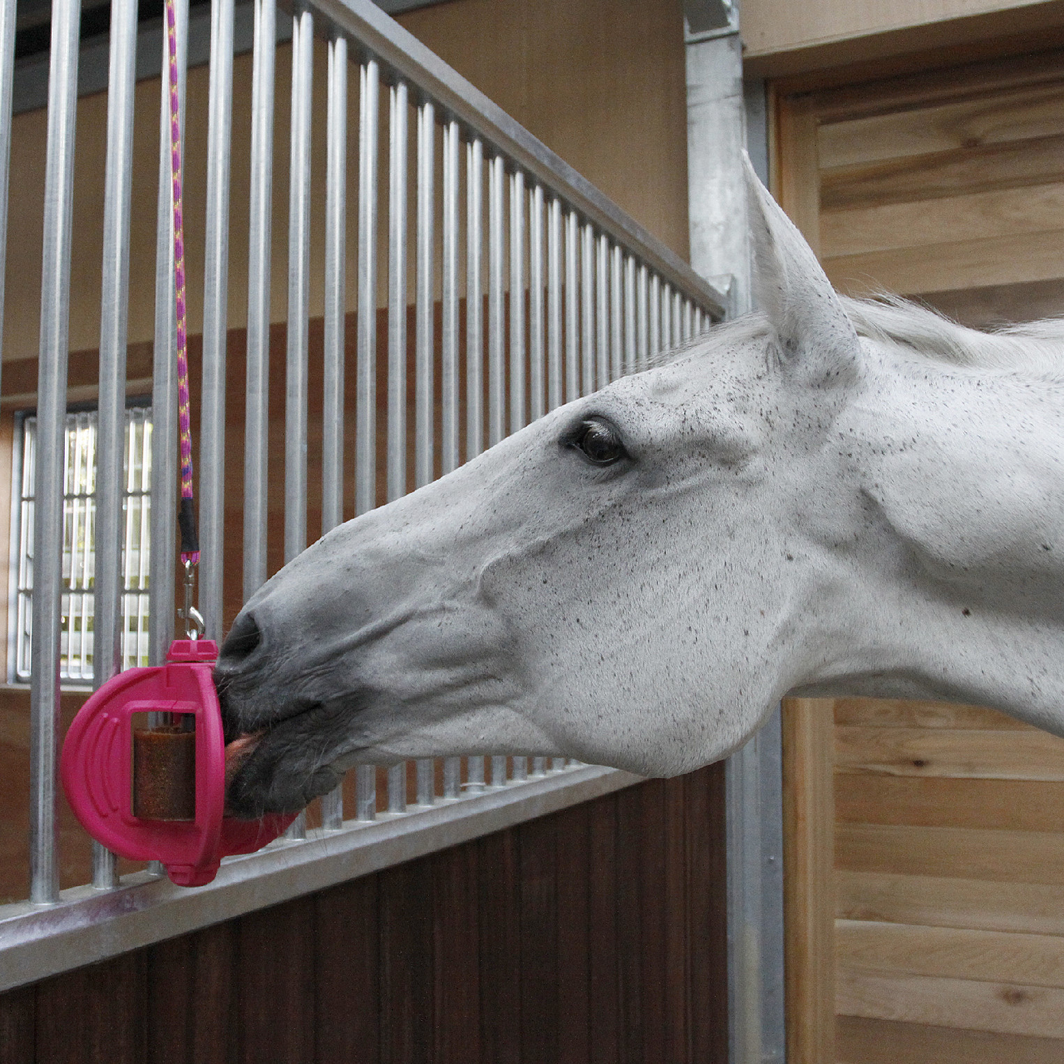 Bizzy Horse Hračka pro koně Bizzy Ball, pink