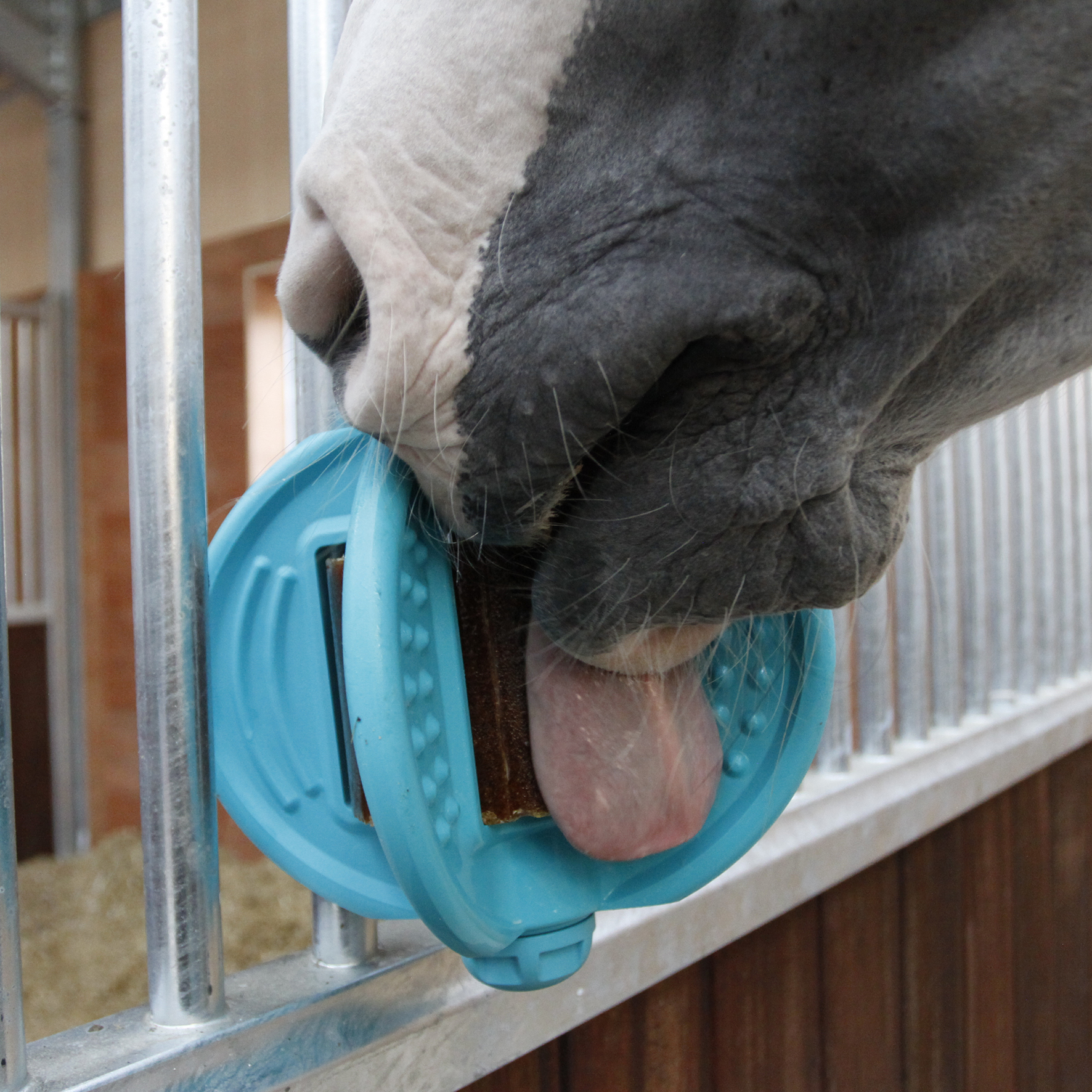 Bizzy Horse Hračka pro koně Bizzy Ball, aqua