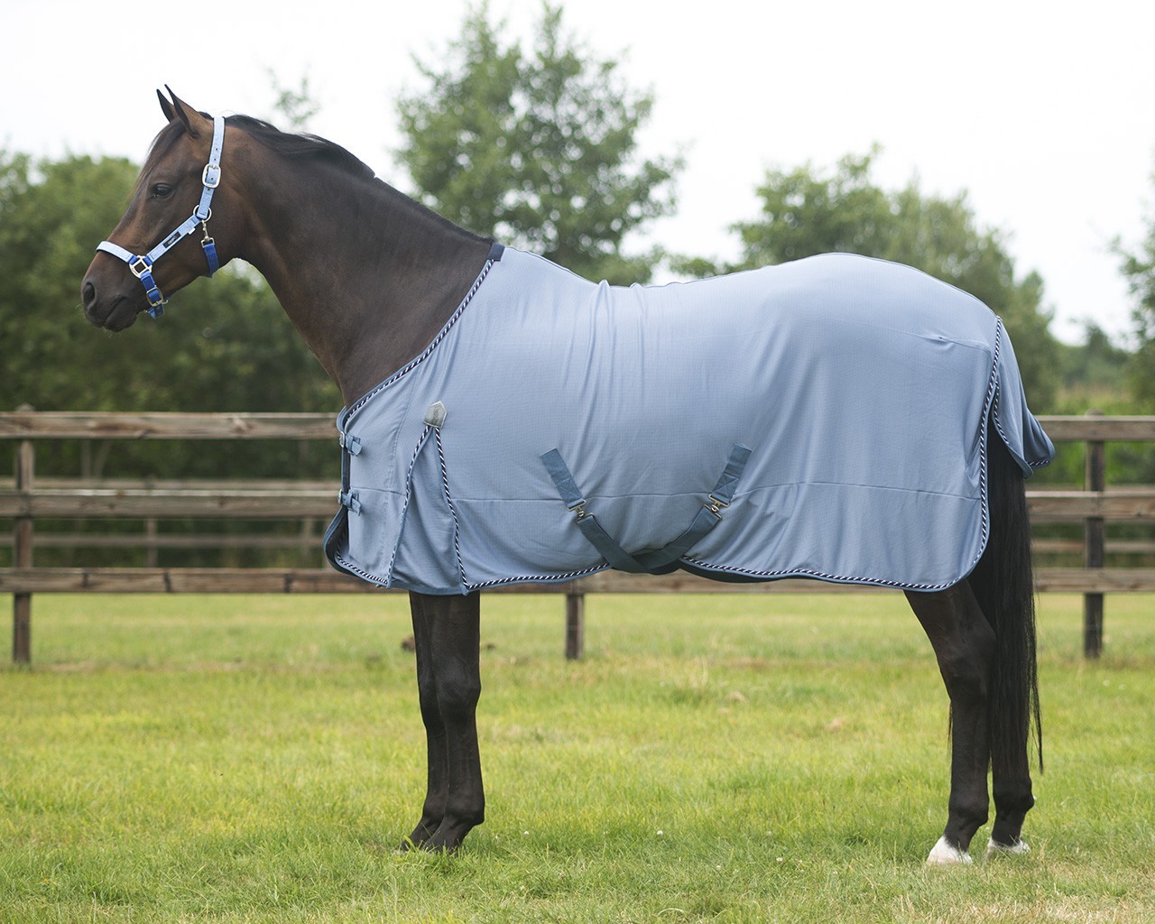 QHP Deka letní QHP, síťová, steel blue Délka zad: 135cm