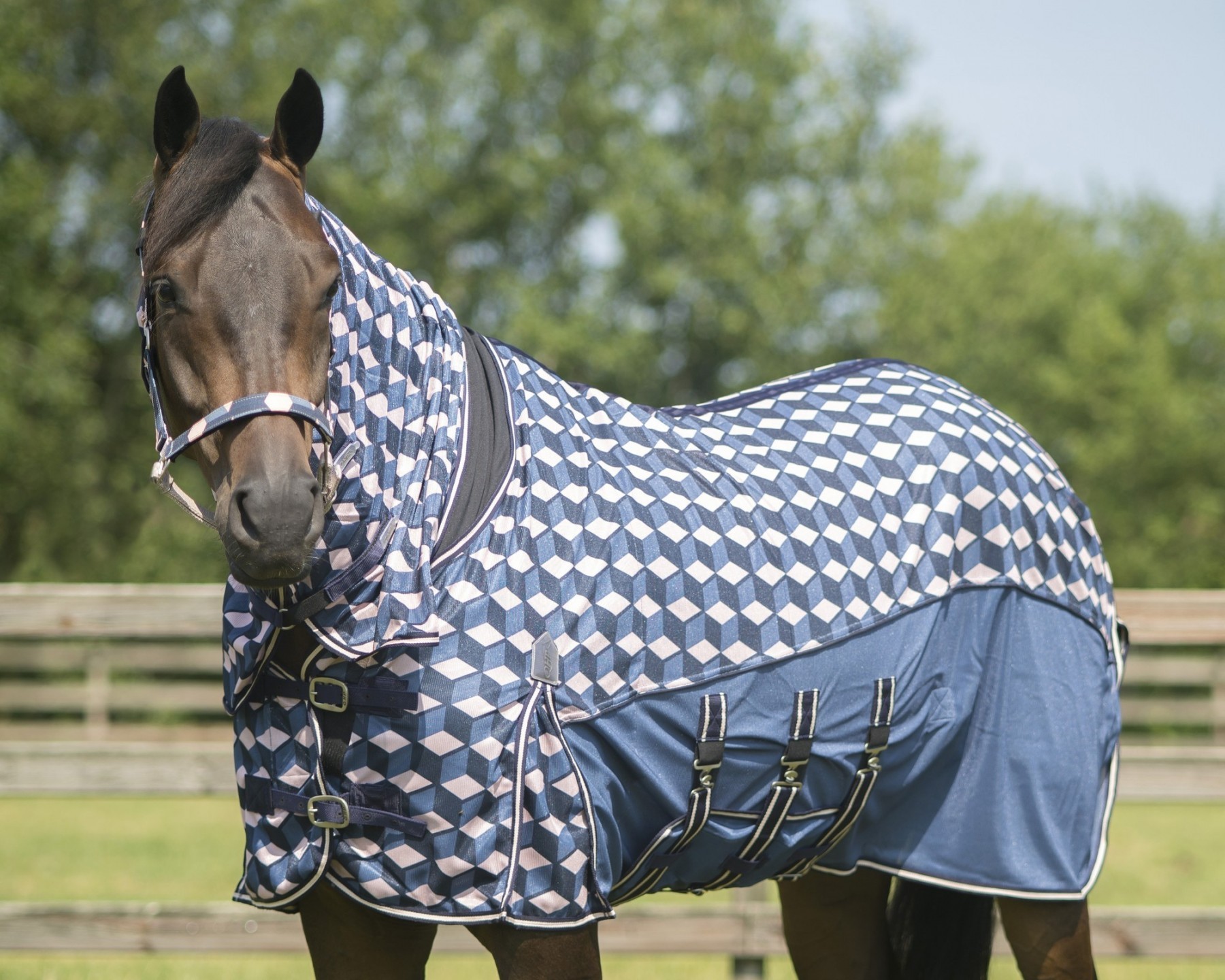 QHP Síťovaná deka proti hmyzu QHP, skrkem, hexagon Délka zad: 145cm