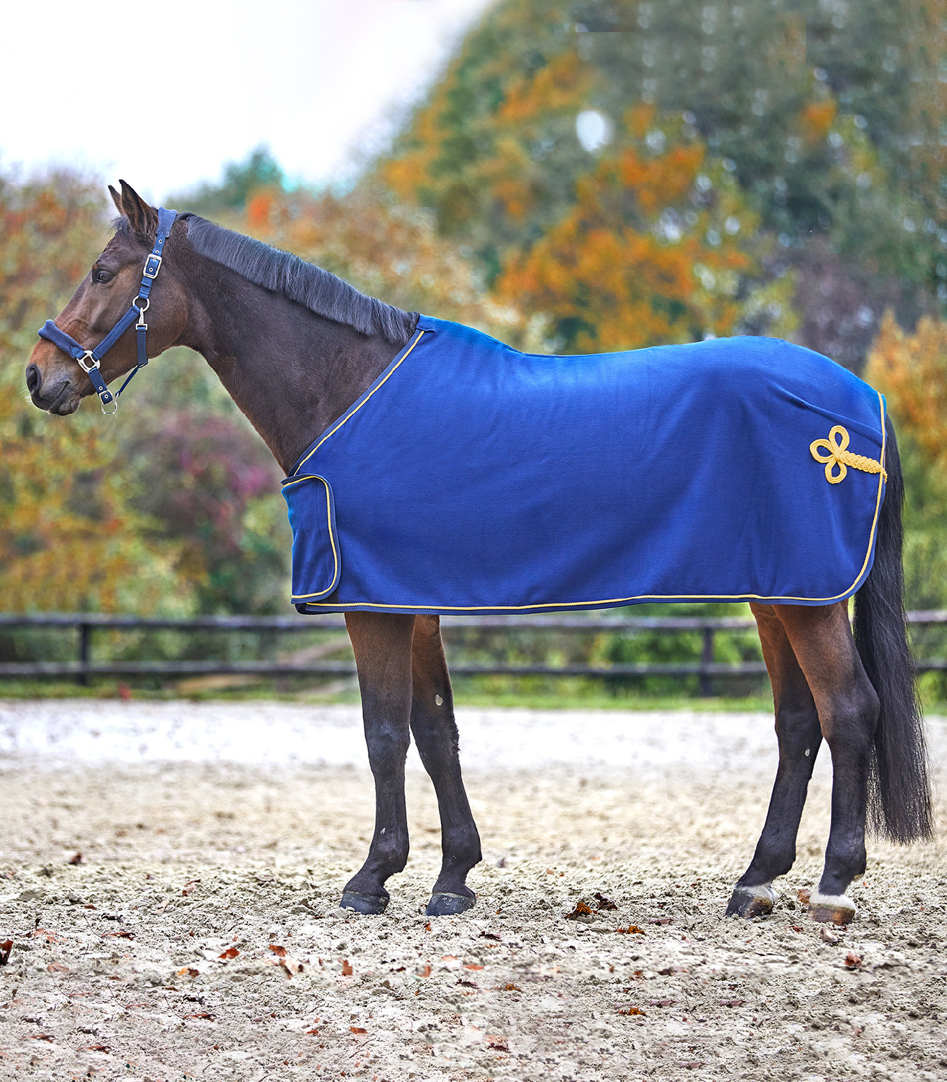 WALDHAUSEN Odpocovací deka Waldhausen, blue/gold Délka zad: 135 cm