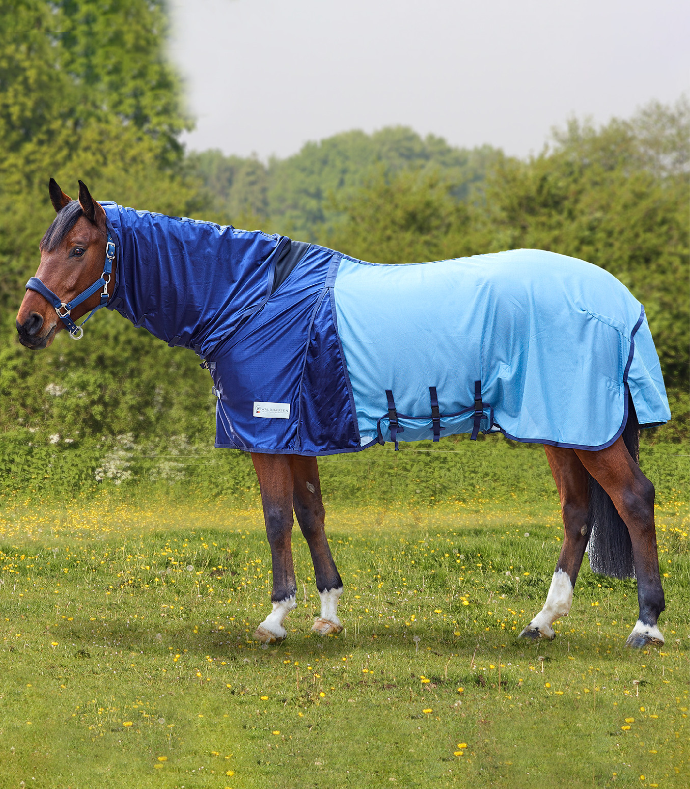 WALDHAUSEN Síťová deka PROTECT Waldhausen, s krkem, blue Délka zad: 135cm