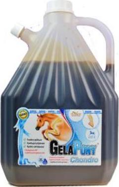 Orling Gelapony Chondro Hyal Biosol Orling, 3000ml