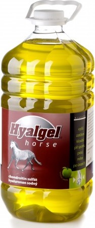 Hyalgel Sirup Hyalgel, jablečný, 5 l