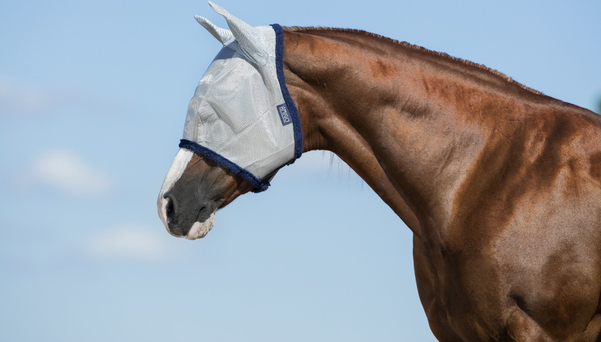 AMIGO Maska proti hmyzu Amigo, s ochranou uší, silver/navy Velikost: PONY