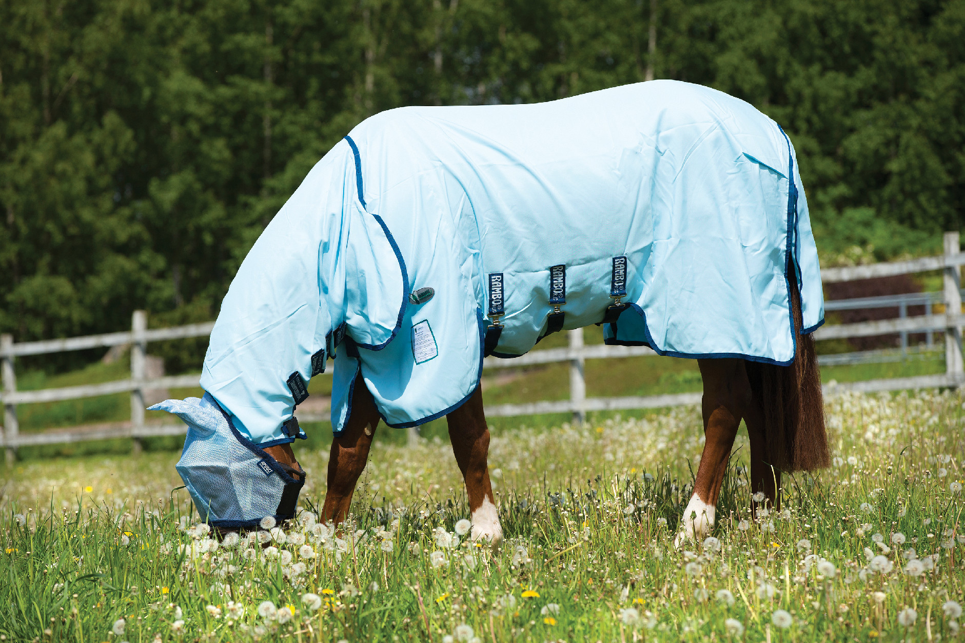Deka proti hmyzu Rambo Hoody Vamoose, s krkem, baby blue/navy Délka zad: 130 cm