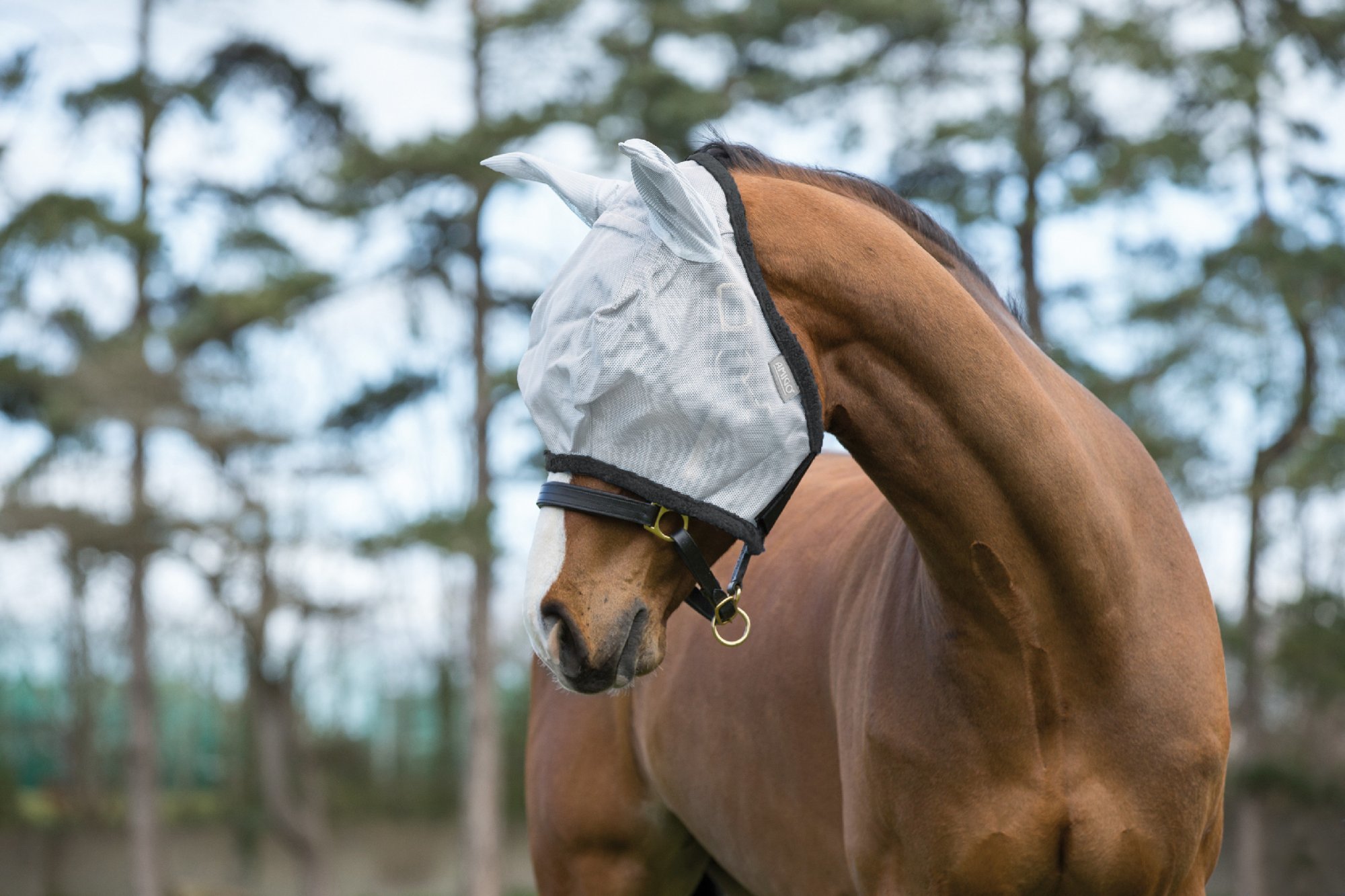 AMIGO Maska proti hmyzu Amigo, s ochranou uší, silver/dark grey Velikost: PONY