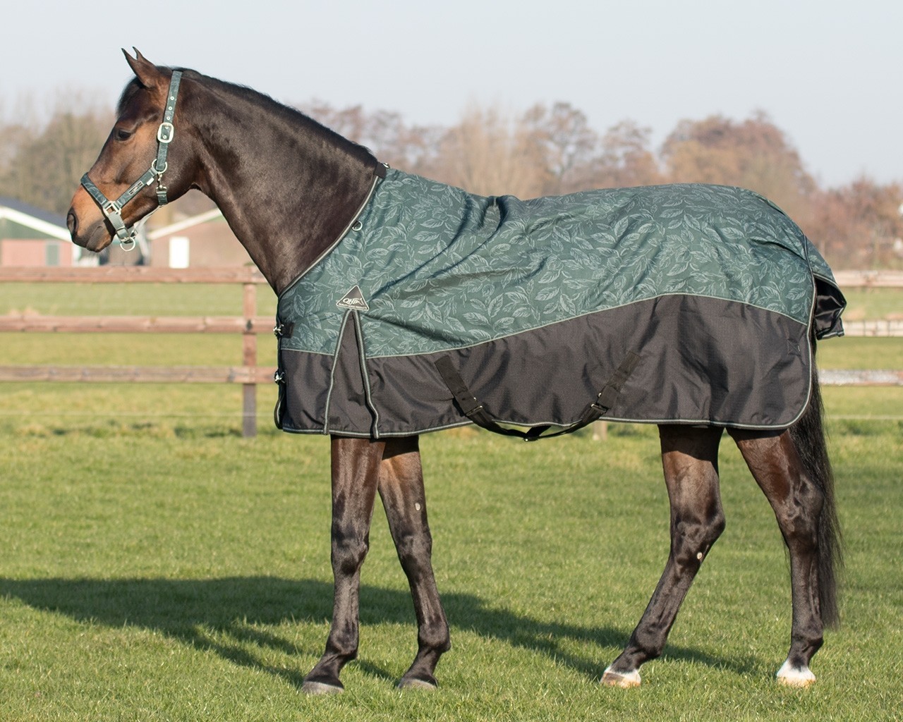 QHP Výběhová deka QHP, 300g, leaves Délka zad: 145cm