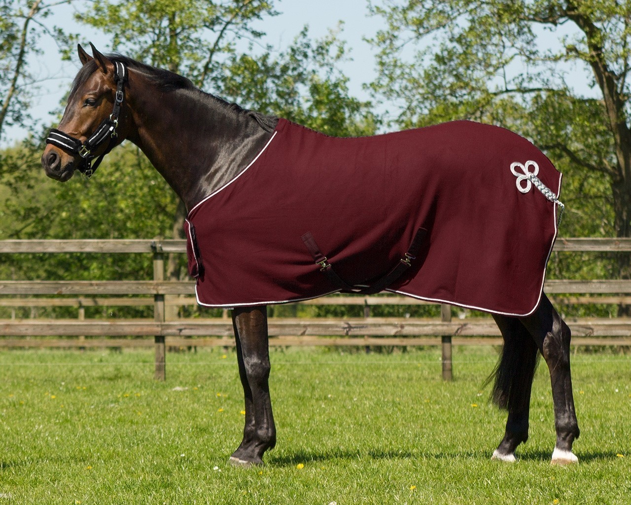 QHP Odpocovací deka Ornament QHP, burgundy/silver Délka zad: 115 cm