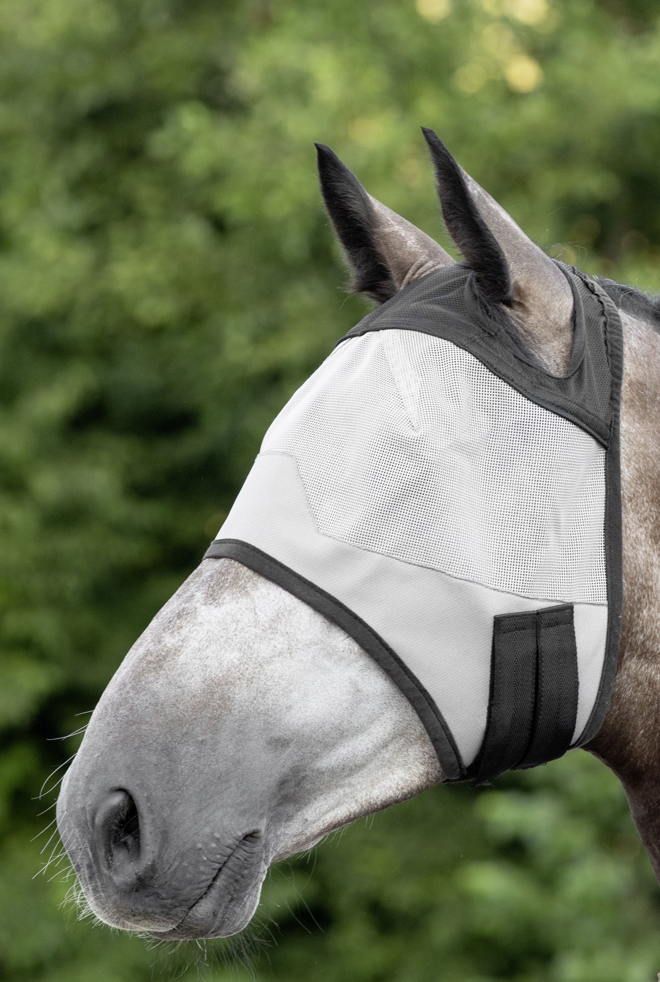 USG Maska proti hmyzu USG, bez ochrany uší, grey/black Velikost: COB