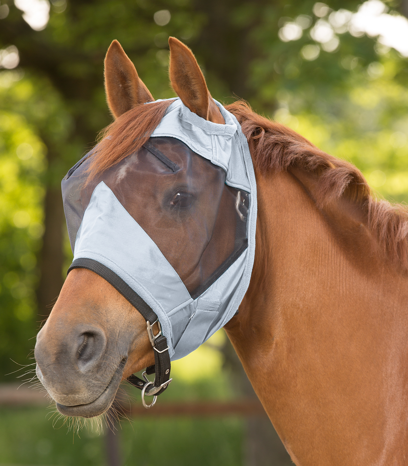 WALDHAUSEN Maska proti hmyzu Premium Waldhausen, bez ochrany uší, silver grey Velikost: PONY