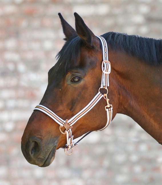 WALDHAUSEN Ohlávka Rosé Shine Waldhausen, white/rosegold Velikost: PONY