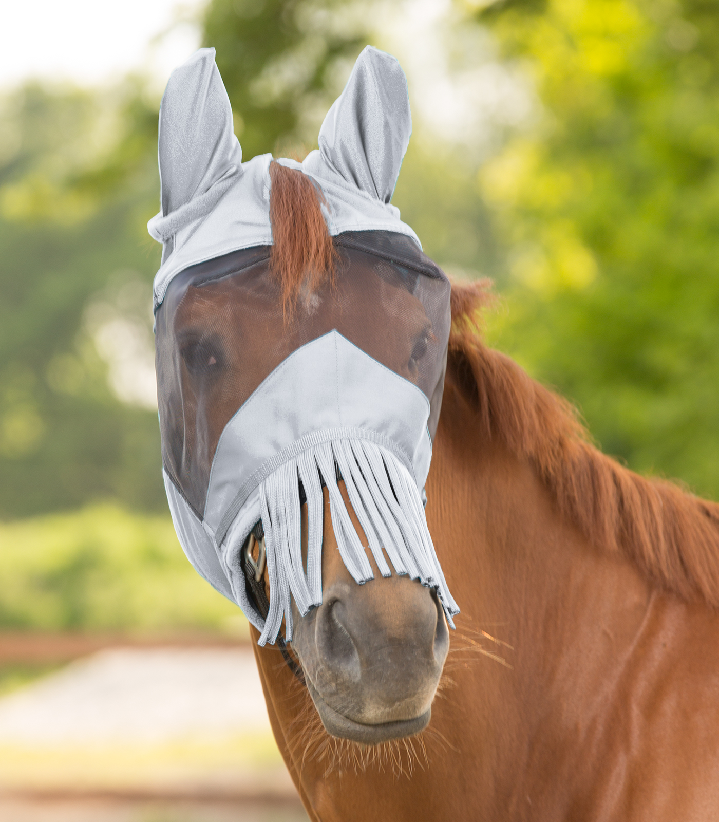 WALDHAUSEN Maska proti hmyzu  Premium Waldhausen, s ochranou uší a třásněmi, silver grey Velikost: PONY
