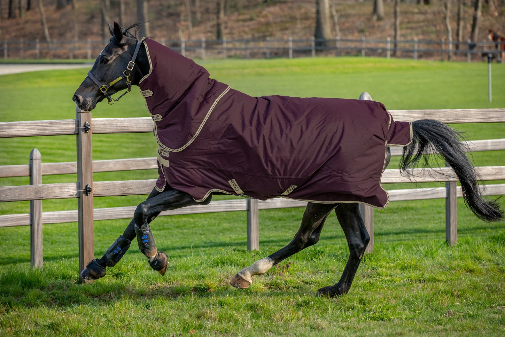 AMIGO Deka nepromokavá Hero Plus Amigo, s krkem, 0 g, fig/navy/tan Délka zad: 115 cm