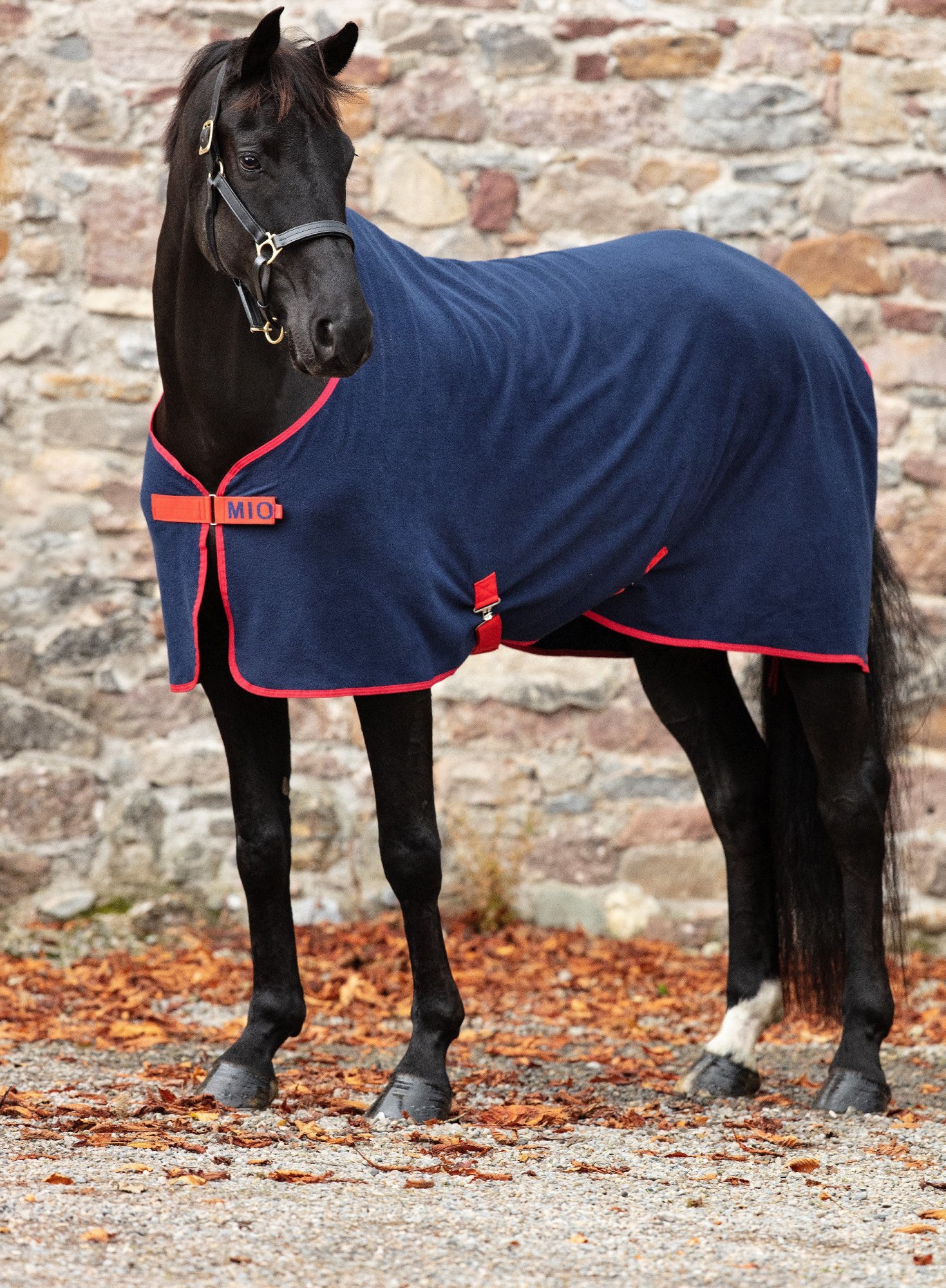 MIO Deka odpocovací XSur Mio, navy/red Délka zad: 140 cm