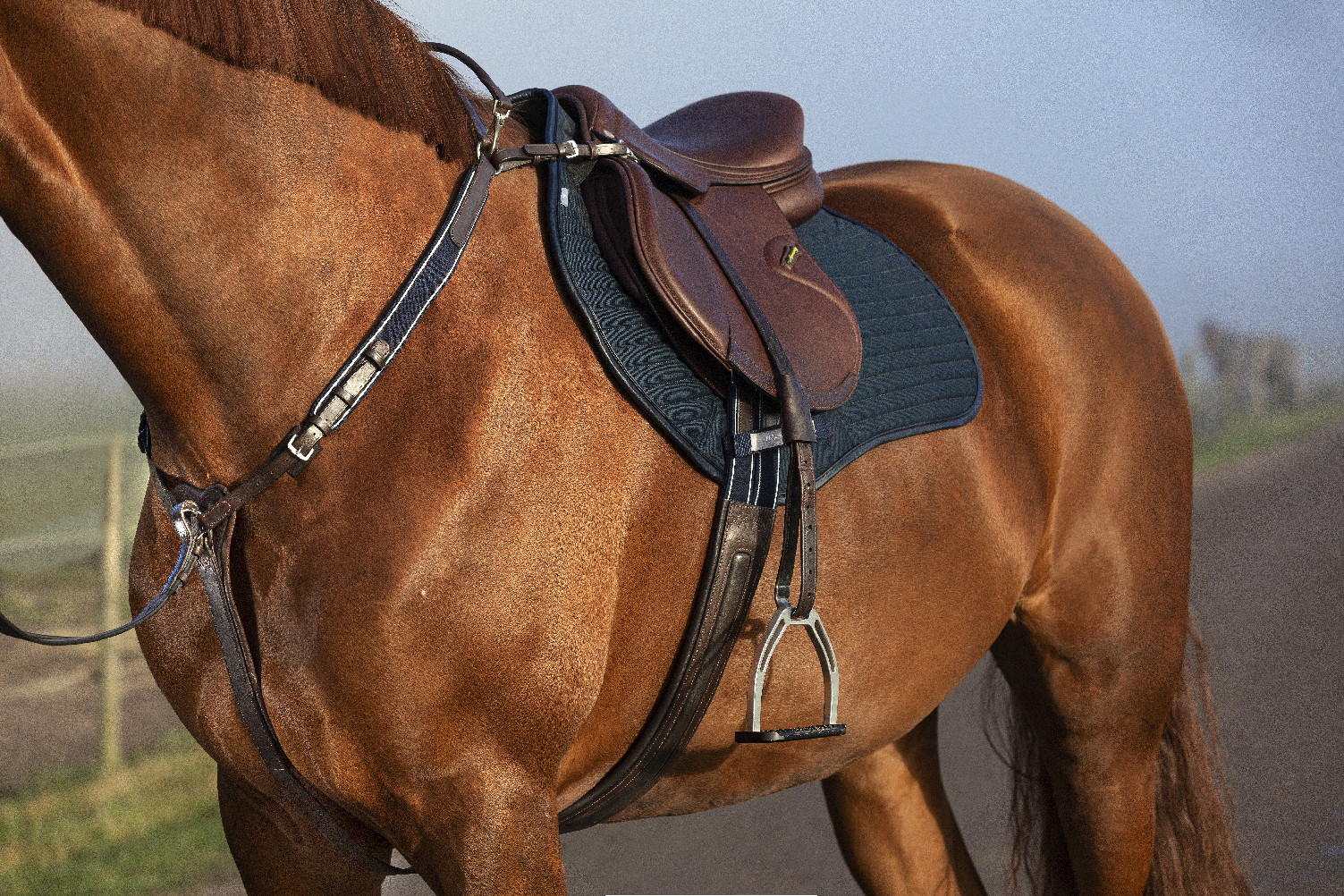 Rambo Micklem Poprsník Rambo Micklem, hnědý Varianta: PONY