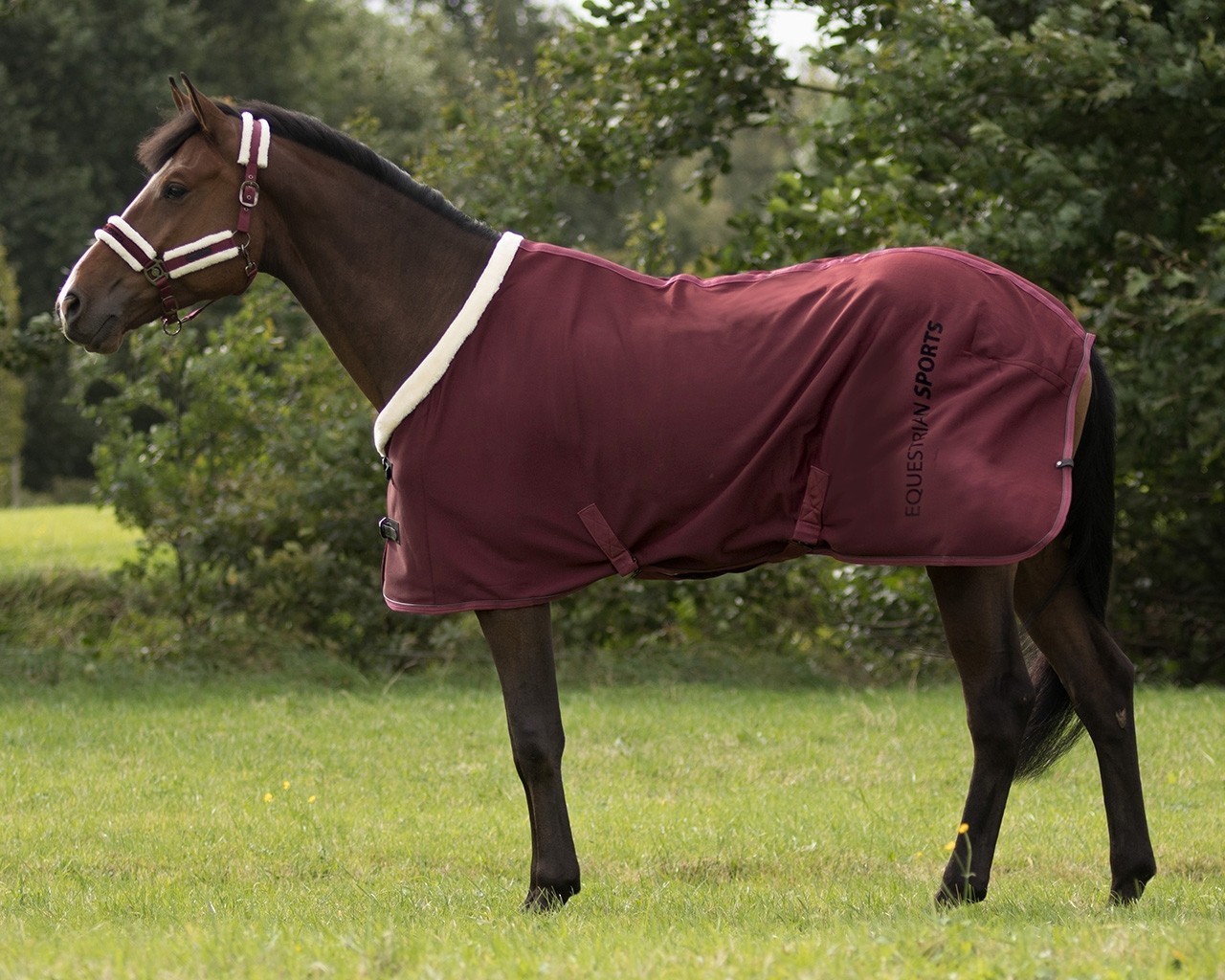 QHP Deka softshellová odpocovací Dublin QHP, burgundy Délka zad: 130cm