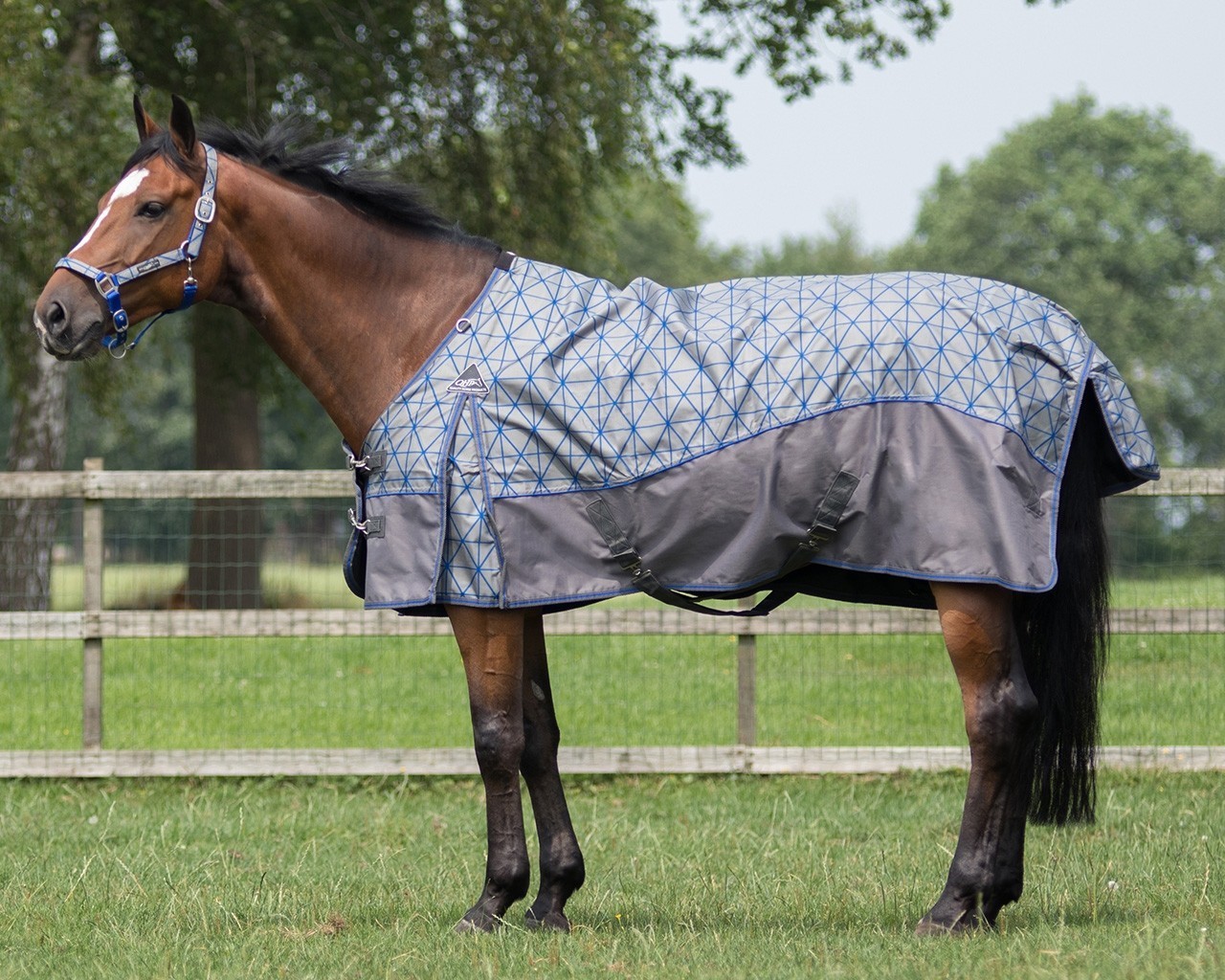 QHP Deka výběhová QHP, s fleecem, network Délka zad: 155cm