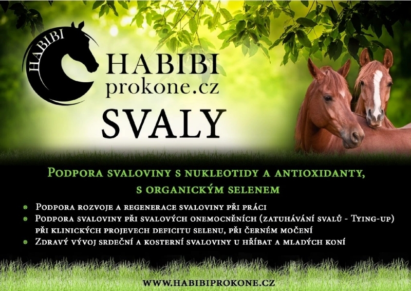 HABIBI Svaly HABIBI, 10 kg