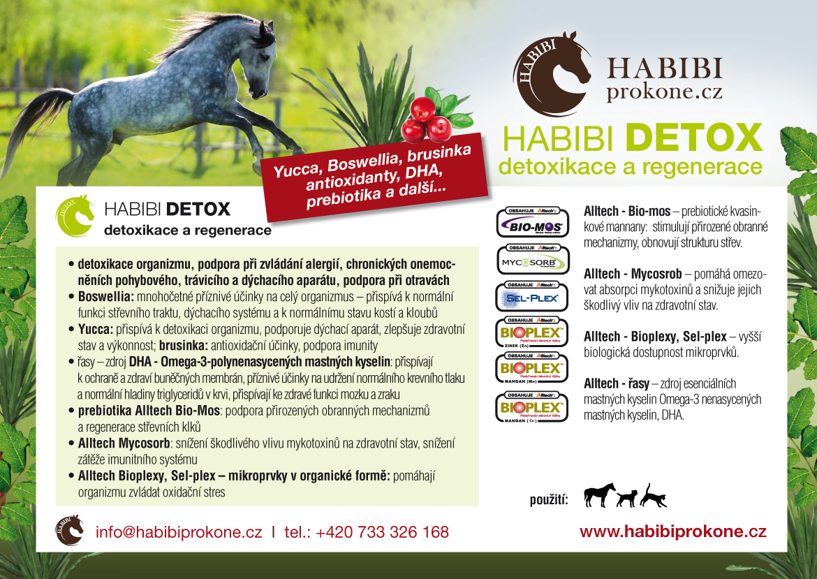 HABIBI Detox HABIBI, 1 kg