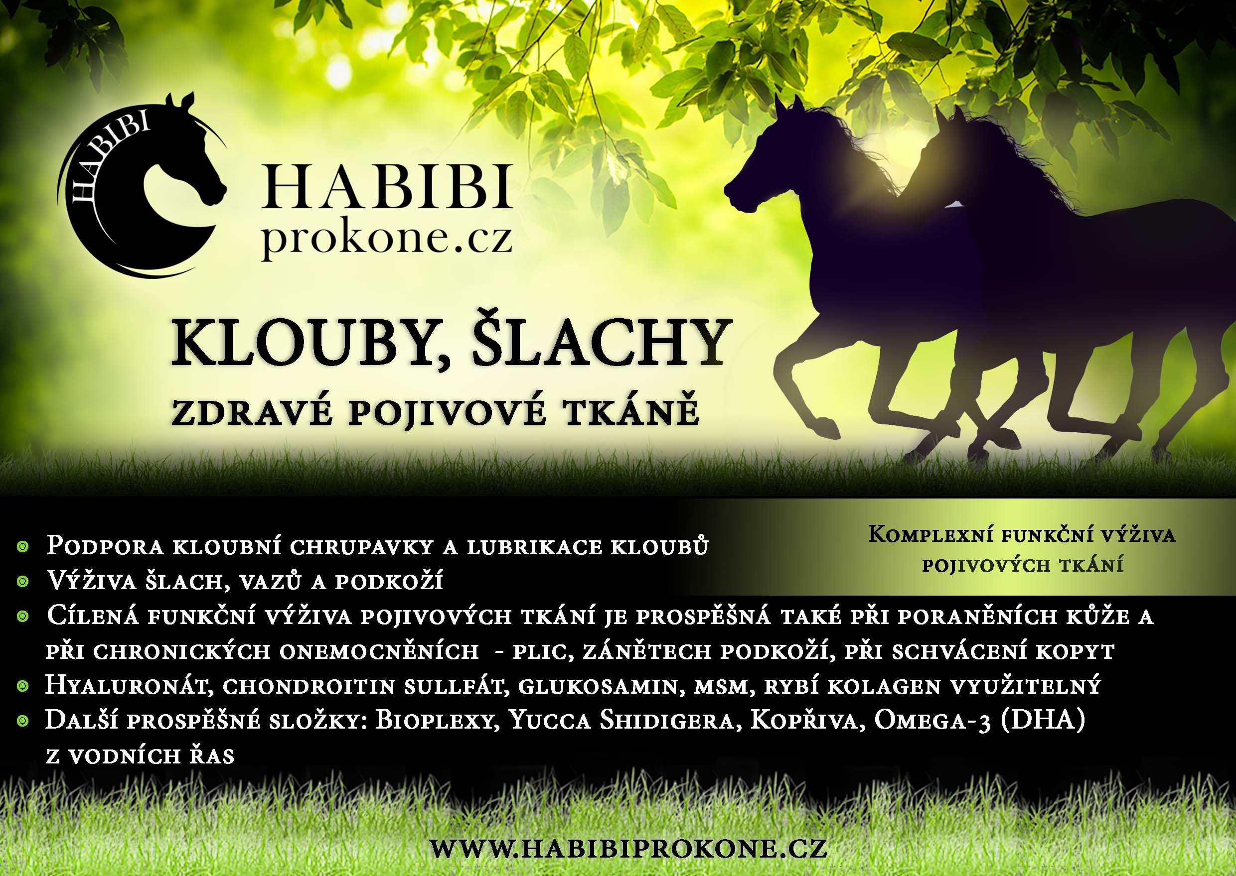 HABIBI Klouby, šlachy, zdravé pojivové tkáně HABIBI, 10 kg