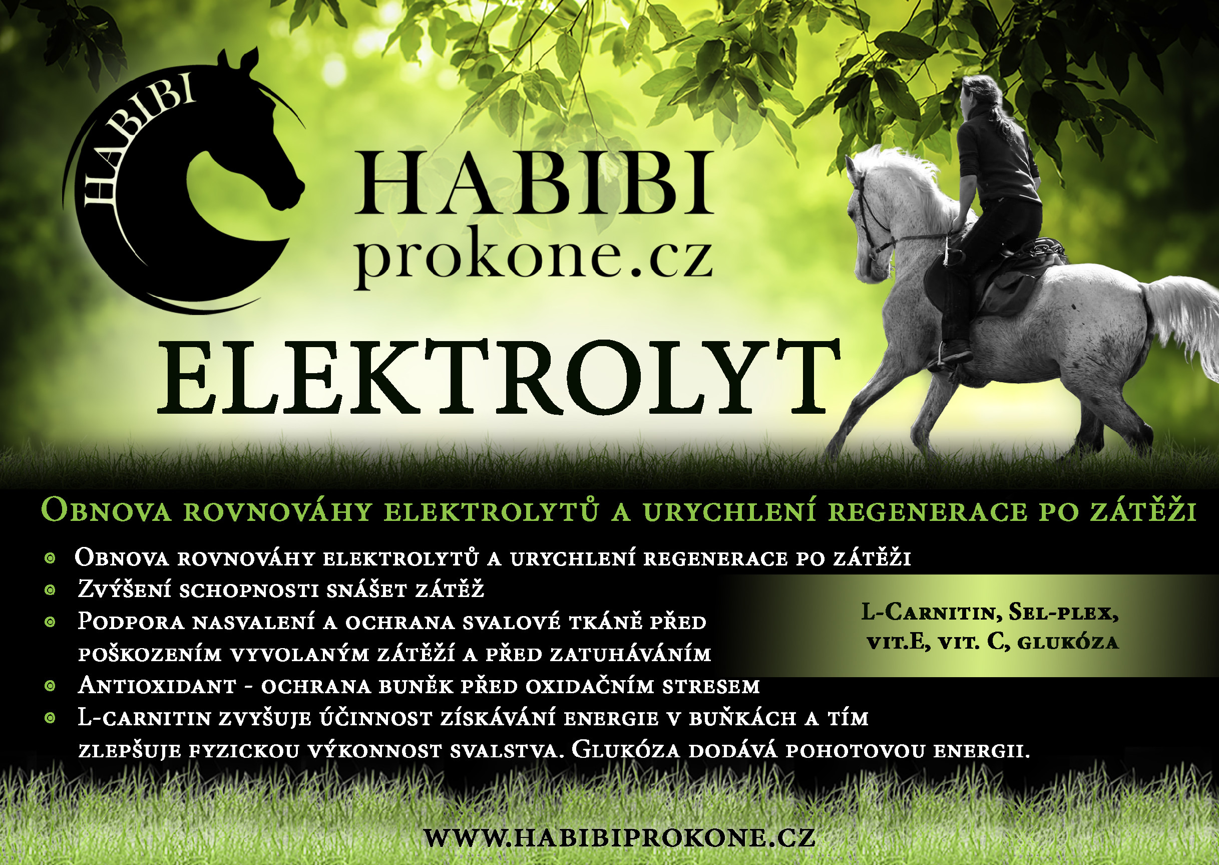 HABIBI Elektrolyt + L-carnitin HABIBI, 1,2 kg
