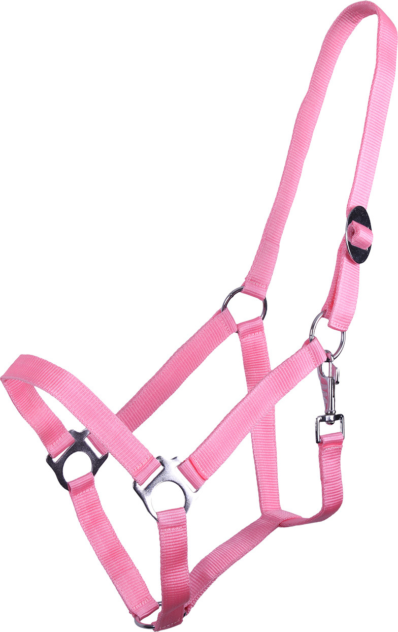 Q-essentials Ohlávka Slide Q-essentials, flamingo pink Velikost: MINI SHETTY