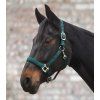 Ohlávka Perlon Satin Waldhausen, fir green (Velikost PONY)