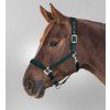 Ohlávka Perlon Satin Waldhausen, fir green (Velikost PONY)