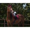 Čabraka Florence QHP, burgundy (Velikost PONY)