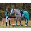 Kamaše zadní Eventing Technical QHP, pár, mint green (Velikost L)