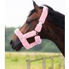 Ohlávka Alaska QHP, pink (Velikost SHETTY)