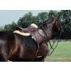 22660 2 leather passion stampa 006