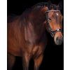 Uzdečka anatomická Glitter FaySport PresTeq, černá (Velikost PONY)